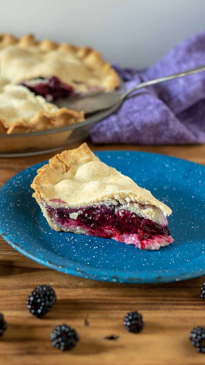 slice of blackberry pie