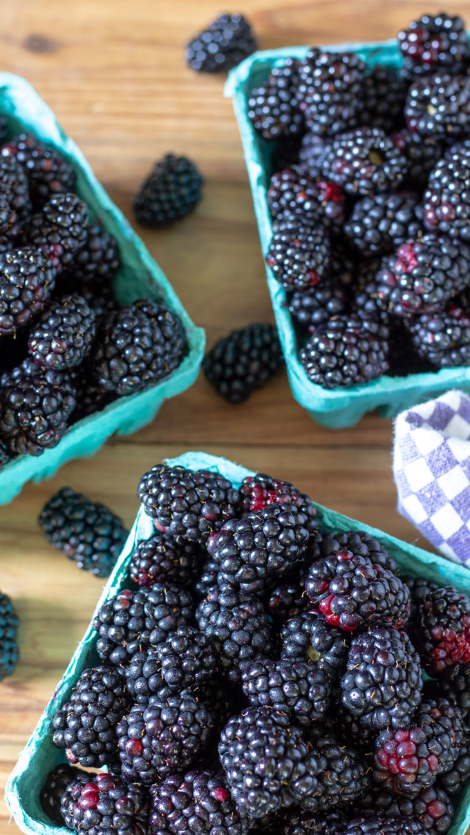 close up fresh blackberries