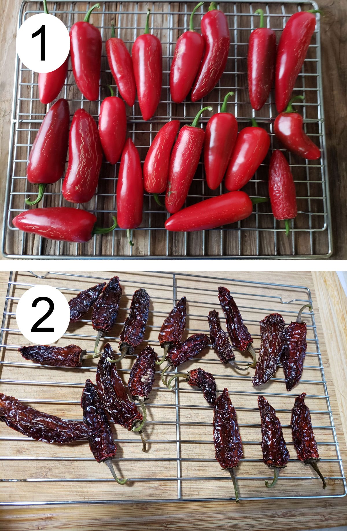 Fresh jalapenos on racks. Dried chipotles on rack