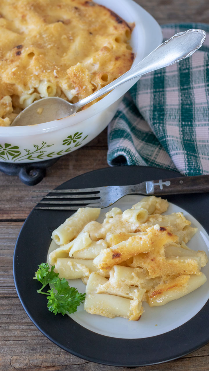 Serving of mac and cheese on white plate with black rim.