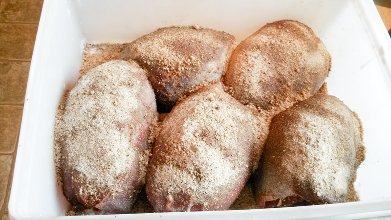 Venison roasts in large container, with dry rub, ready for the curing process.