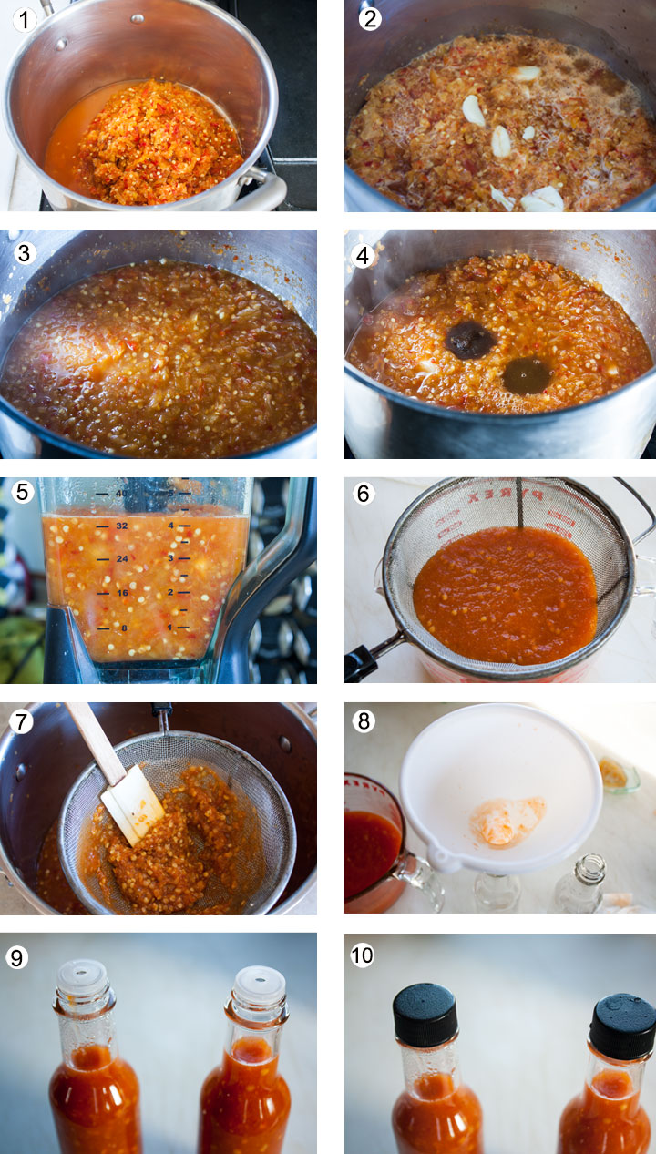 Fermented peppers in large pot. After cooking peppers down, add garlic. Peppers cooked down further. Addition of browm sugar. Cooked peppers added to blender container. Straining sauce. Filled bottles of hot sauce. Capped hot sauce bottles.