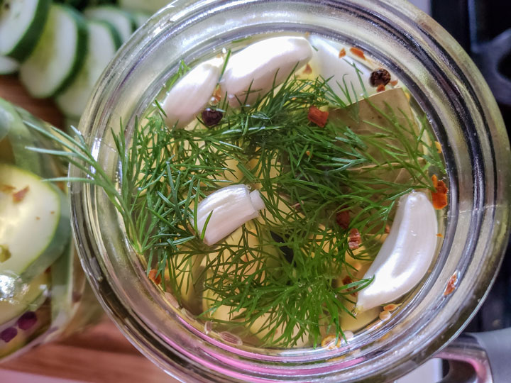 Jar filled with brining liquid and topped with garlic and dill.
