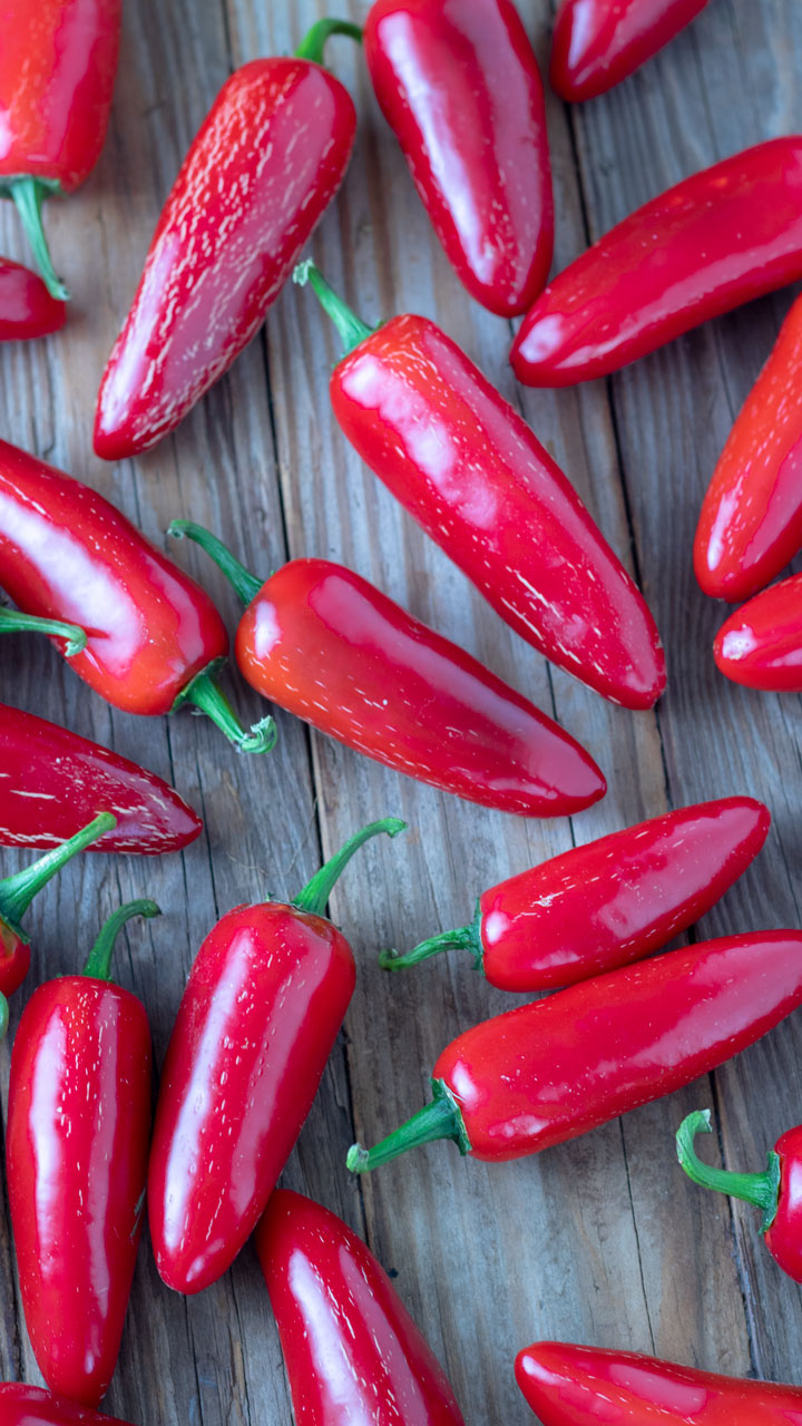 chipotle peppers.