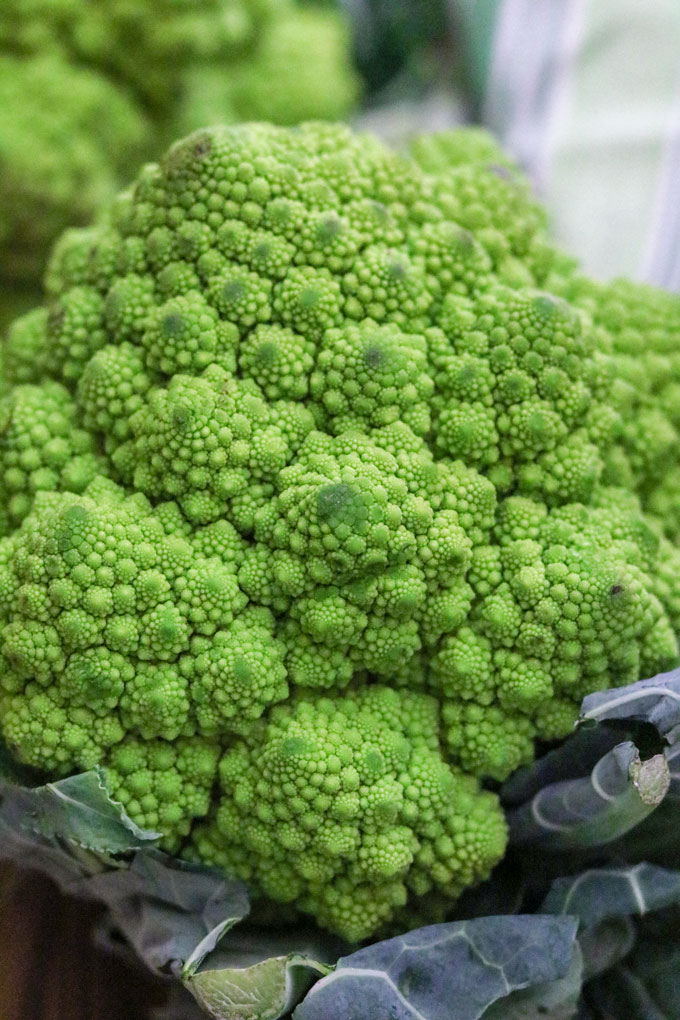 closeup photo of Romanesco