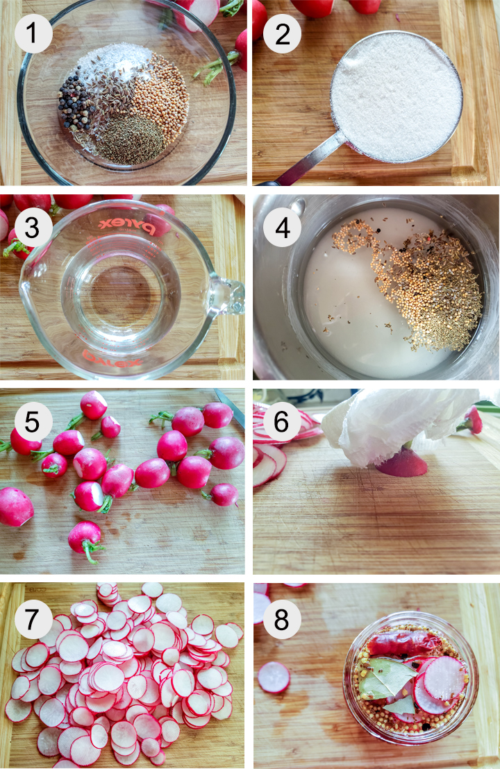 Spices. Sugar. White vinegar. Everything in pan. Root cut off radishes. Holding stem to cut. Radishes on board. Jars filled.