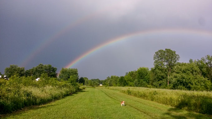 photo of double rainbow over large field