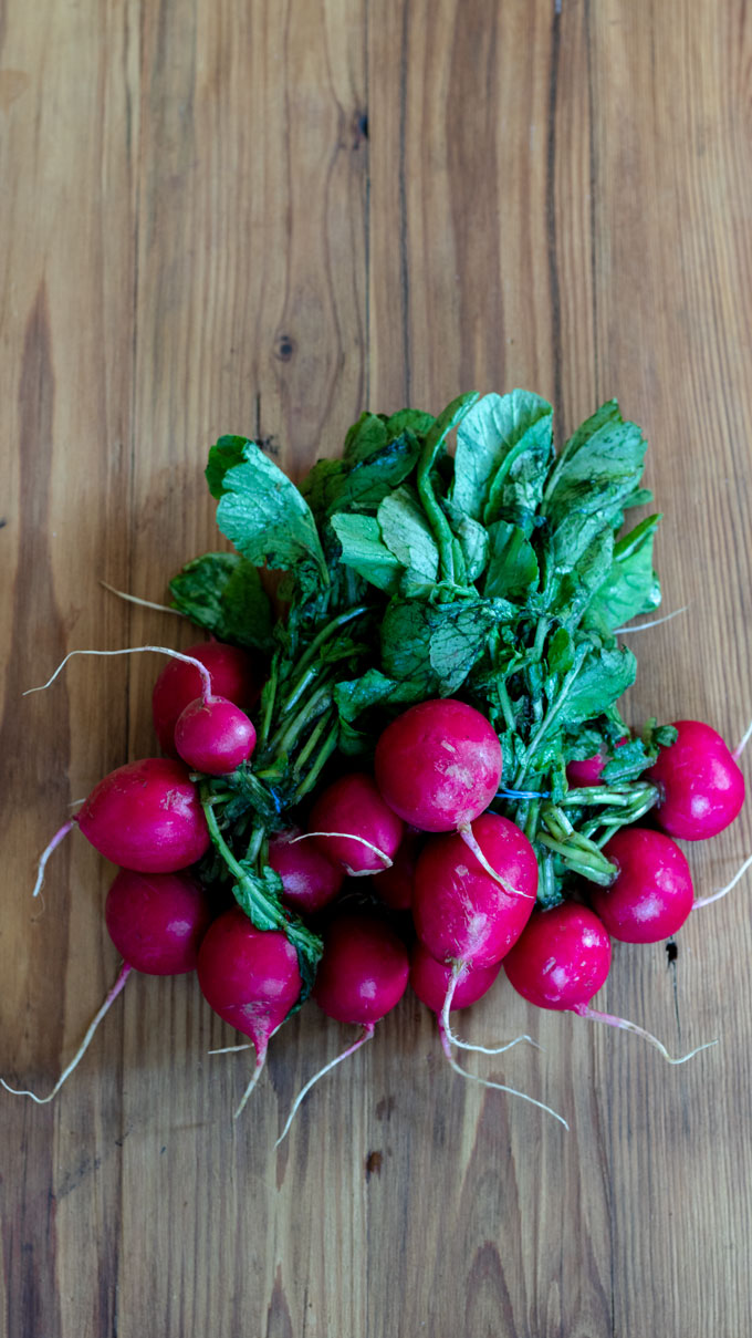 Bunch of fresh radishes with tops.