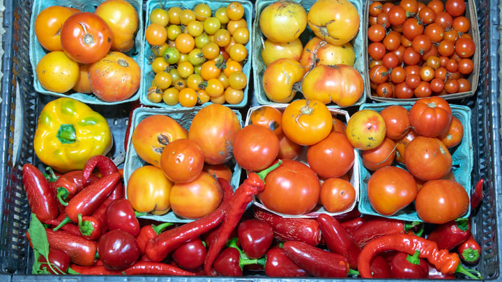 Mixture of ripe tomatoes.