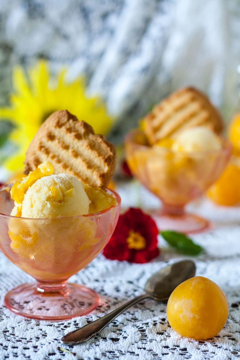 plum sorbet in pink antique sherbet cup for 4th of july recipe