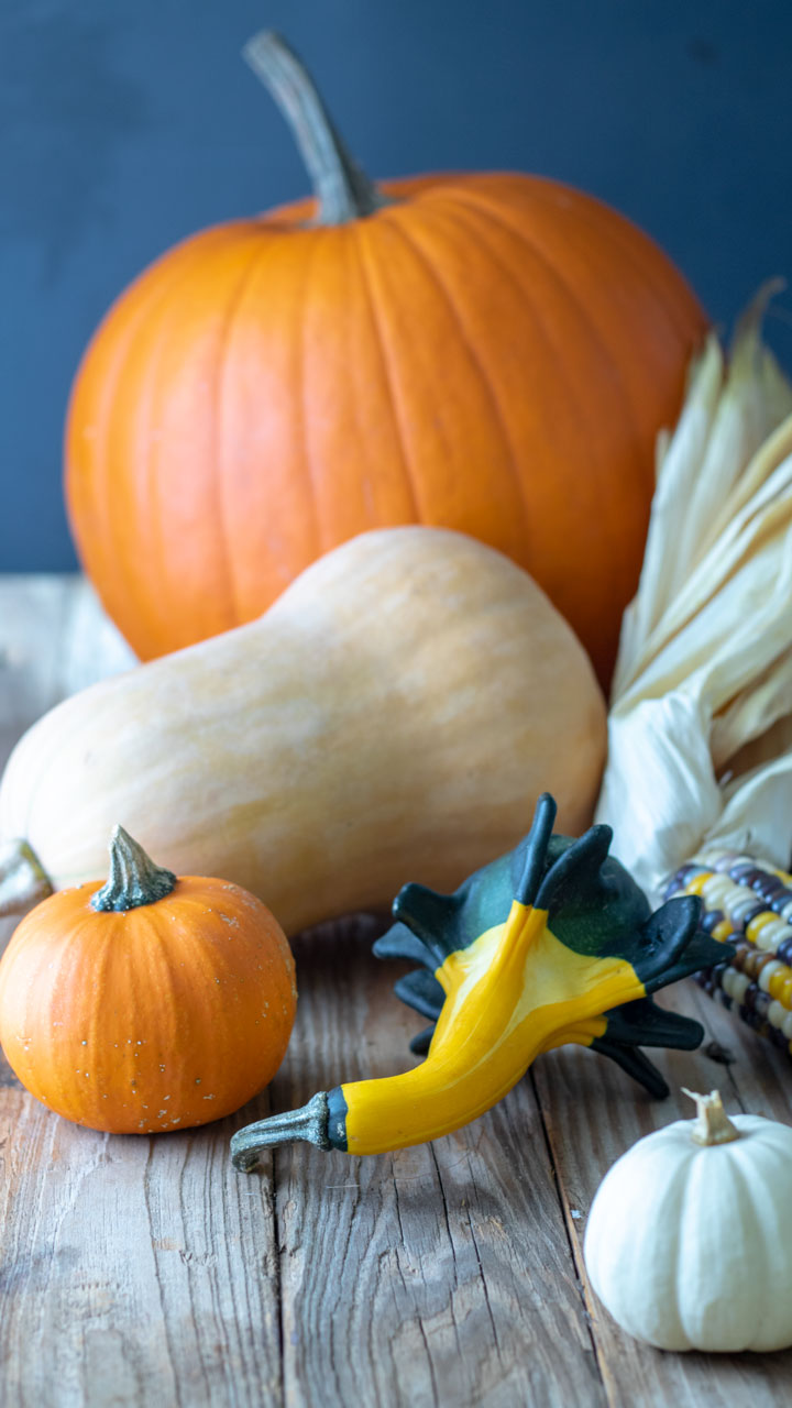 Colorful fall produce on antique wood background