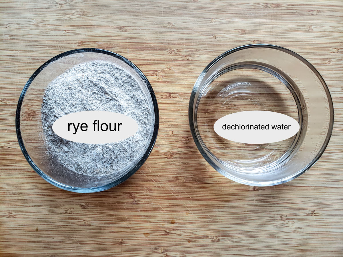 Ingredients in sourdough starter- rye flour dechlorinated water.