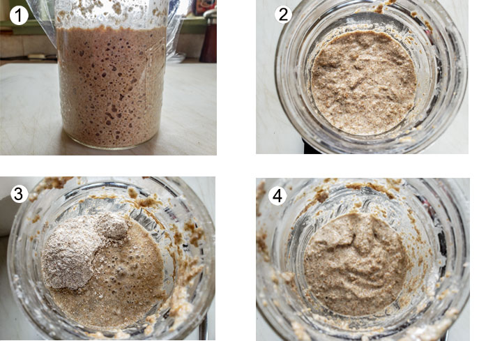 Day 5+ Bubbling starter. Starter in jar. Flour & water added. Mixed starter.