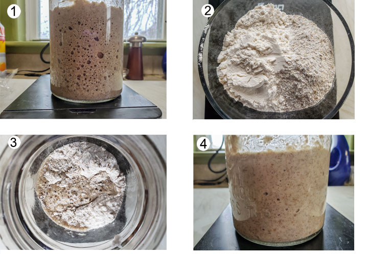 Day 4- Bubbling starter. White and ryer flour in bowl. Flour & water added. Mixed starter.