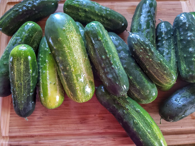 cucumbers on bamboo board