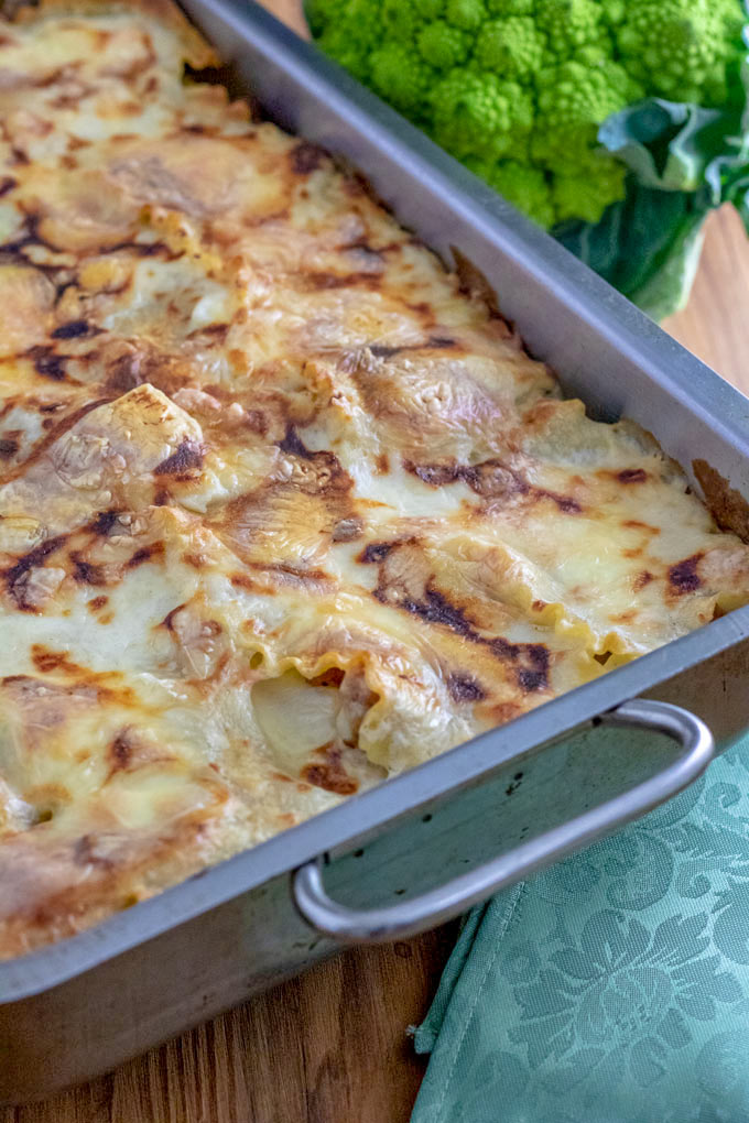 Whole lasagna pan filled with white lasagna
