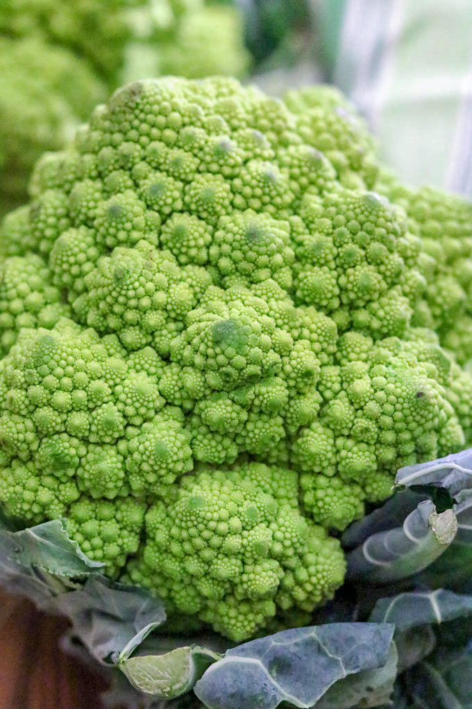 Photo of Romanesco