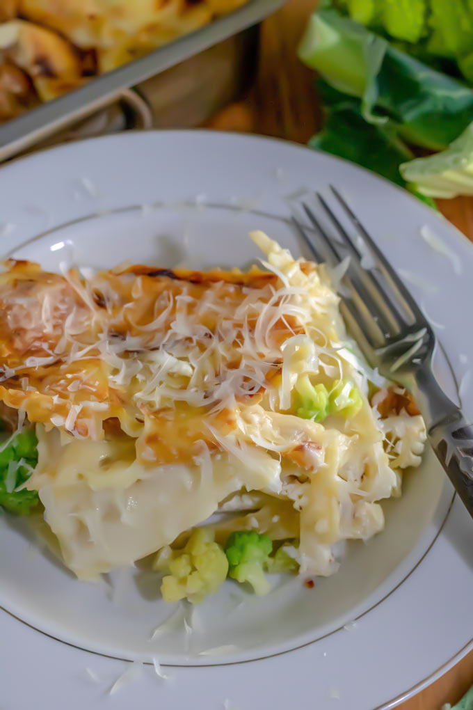 Close up of cheesy white lasagna