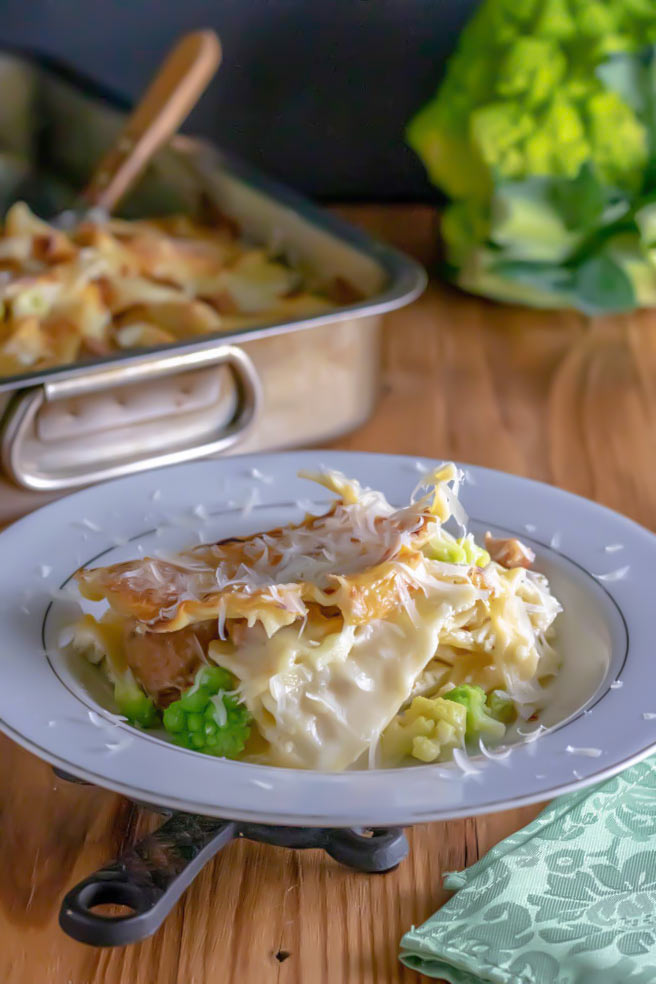 close up of cheese white lasagna