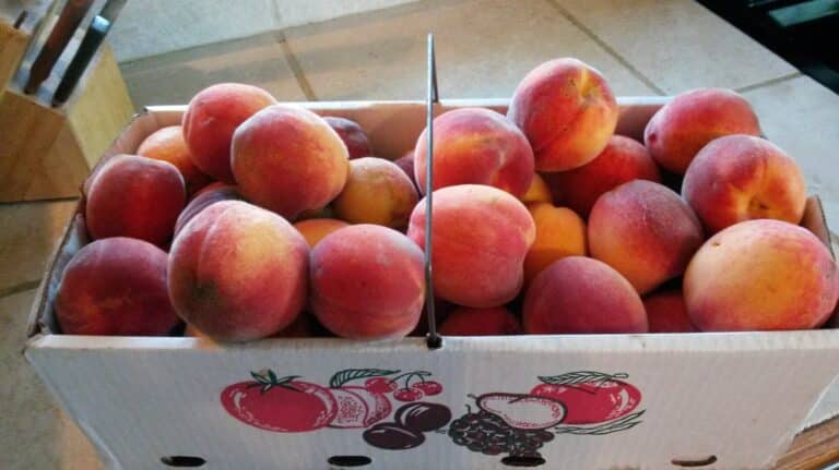 Peach Salsa