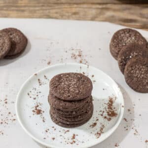 dutch chocolate cookies on white plate sprinkled with cocoa powder
