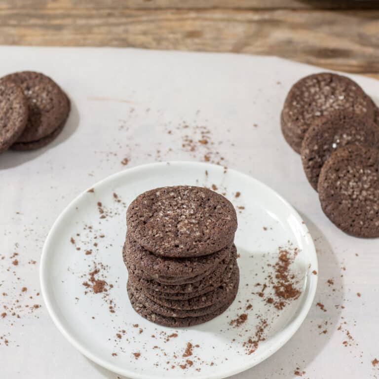 dutch chocolate cookies on white plate sprinkled with cocoa powder