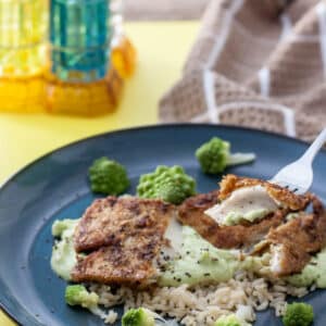 gluten free fish fillets