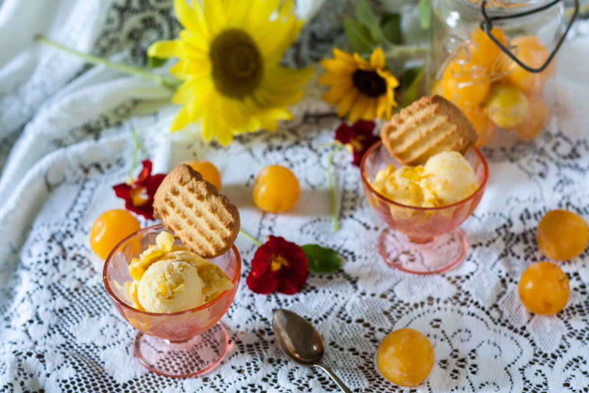 Yellow plum sorbet in vintage pink depression glass dessert cups.