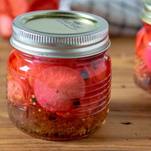 pickled radishes in half pint jars