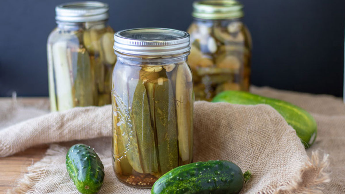 Kosher Pickles in canning jars with garlic chunks and dill.