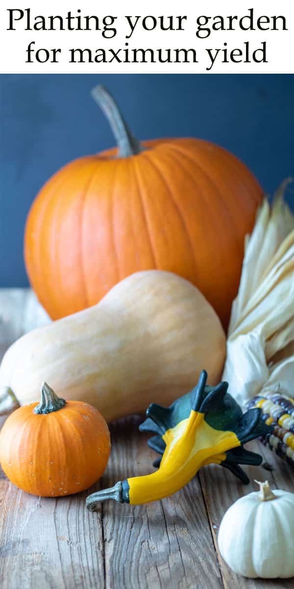 Pinterest Hidden Image