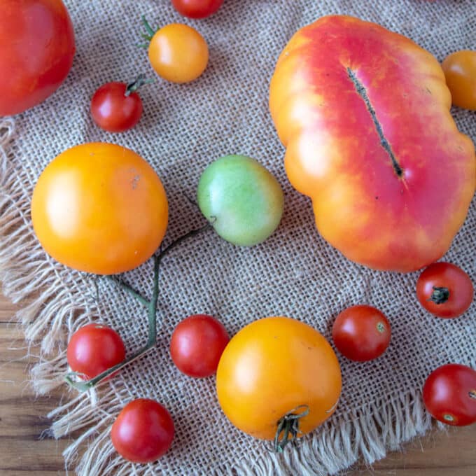 Colorful tomatoes on burlap