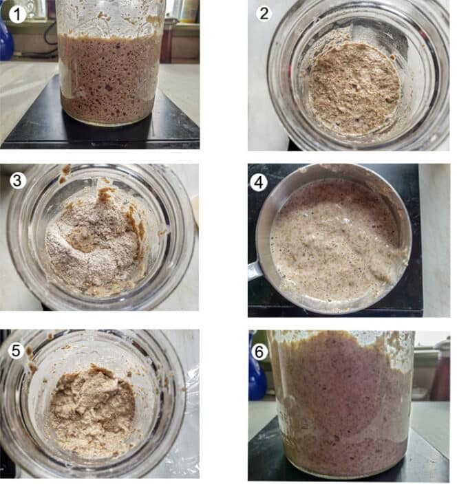 Bubbling starter. Starter in jar. Flour & water added. Measured discard. Mixed starter.