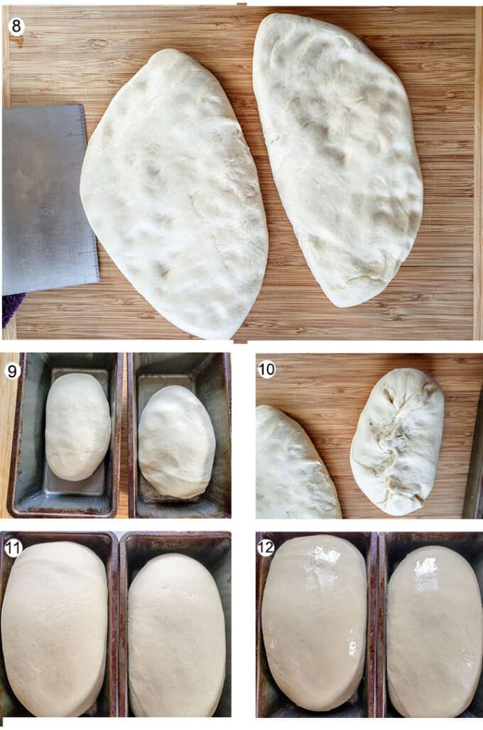 Dough after proofing, cut in half. Loaves shaped & seams pinched. Dough placed in bread pans. Dough after rising. Dough brushed with melted butter.