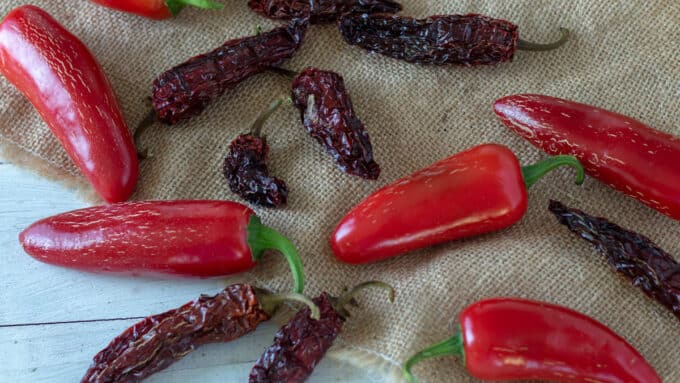 red, ripe jalapenos and dried chipotles on burlap background.