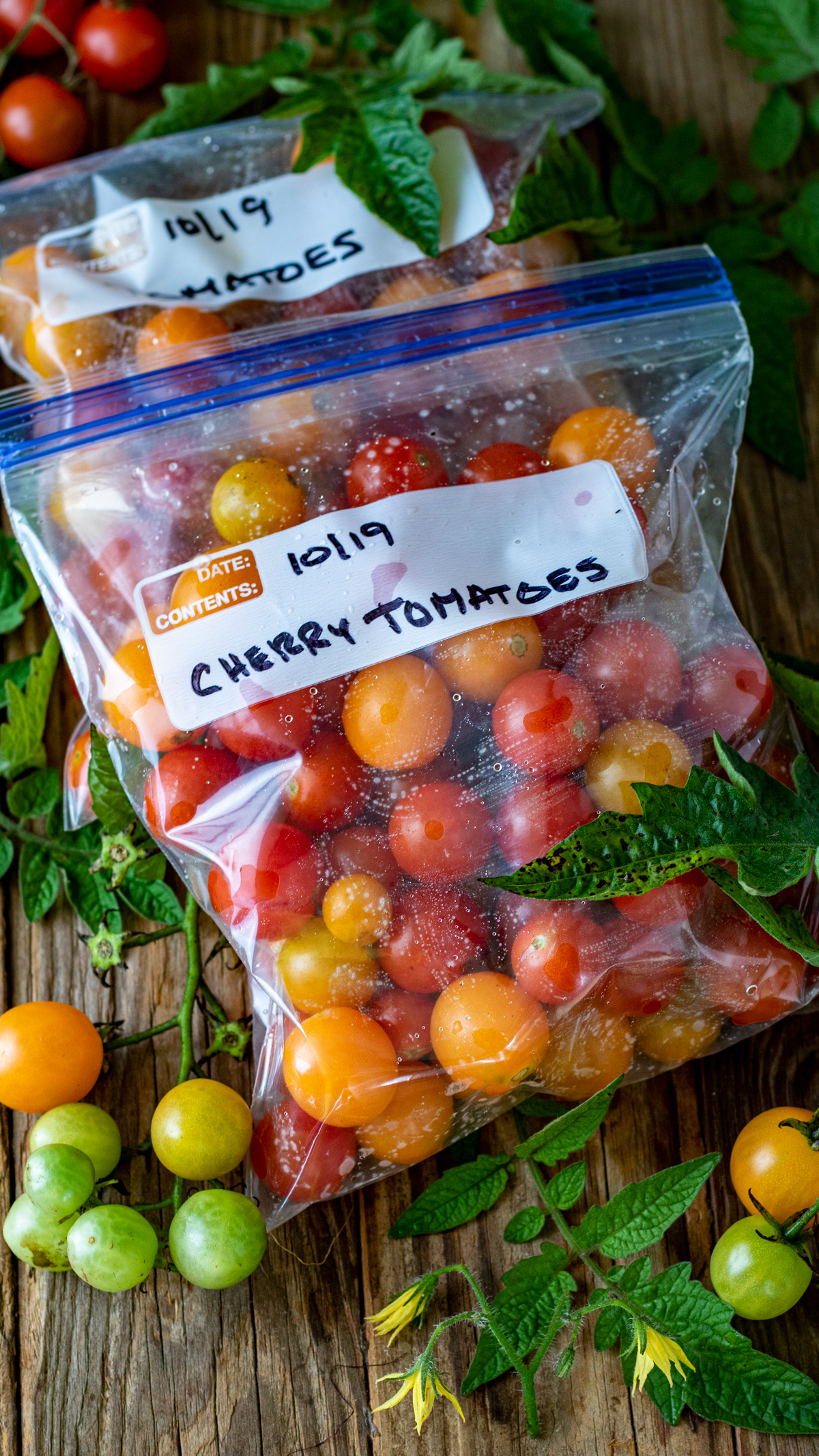 Fresh tomatoes in bag ready for freezing.