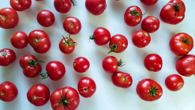 Fresh tomatoes on white board.