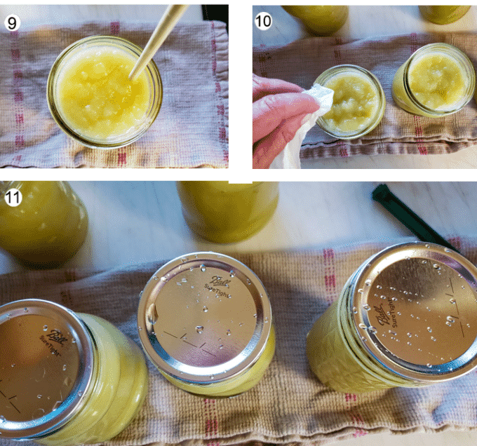 How to can it process collage- details in recipe below.