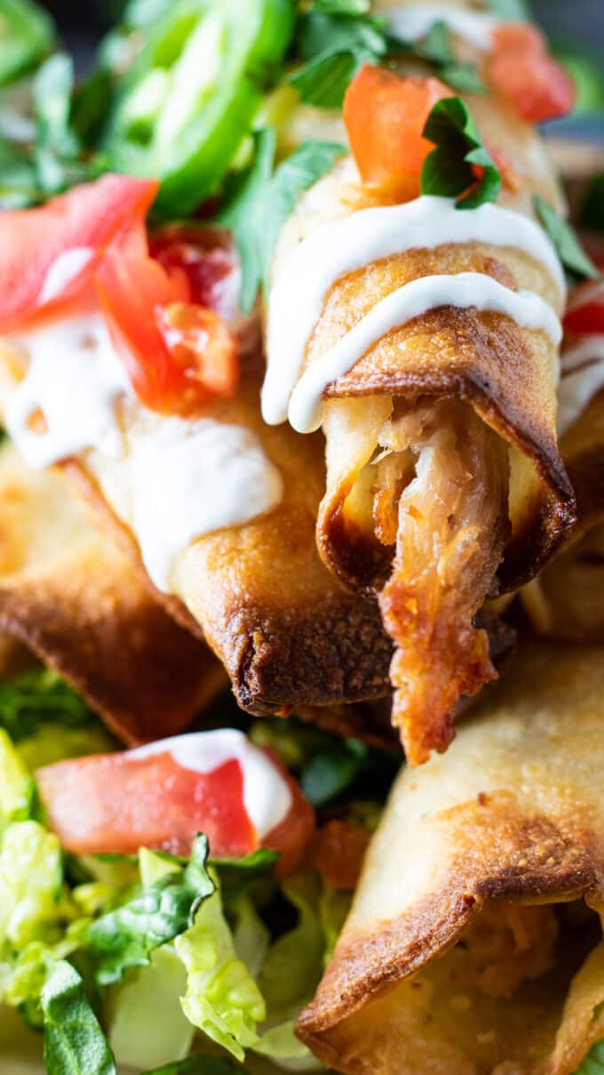 Close up of taquito filling.