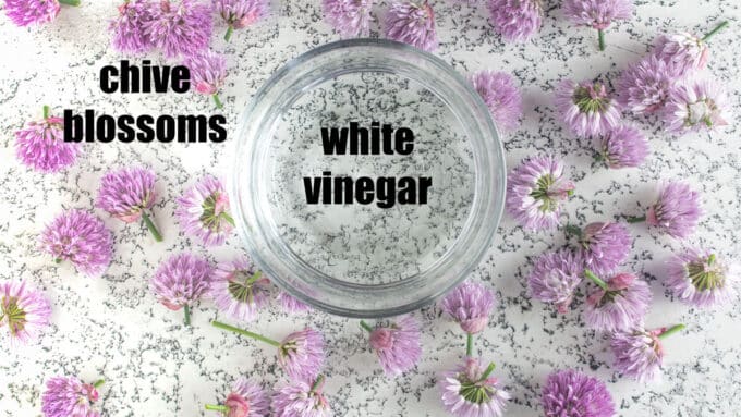 Bowl filled with white vinegar surrounded by chive blossoms on a white board.