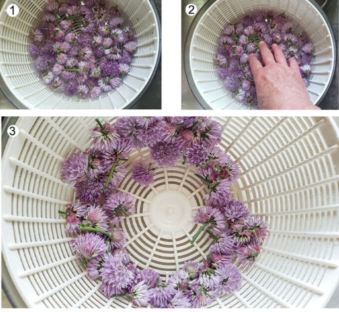 How to clean chives. Photo collage. See details below in recipe.