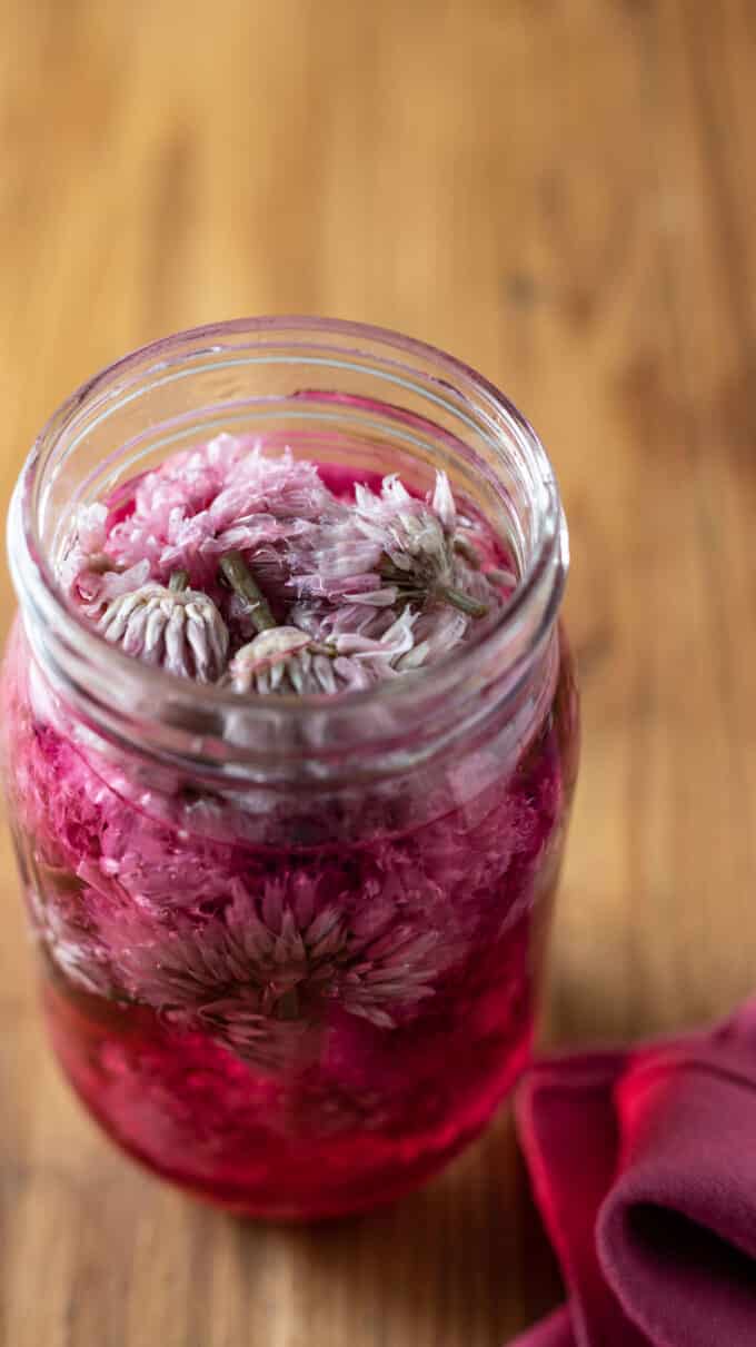 Close up of chive blossoms in jar.