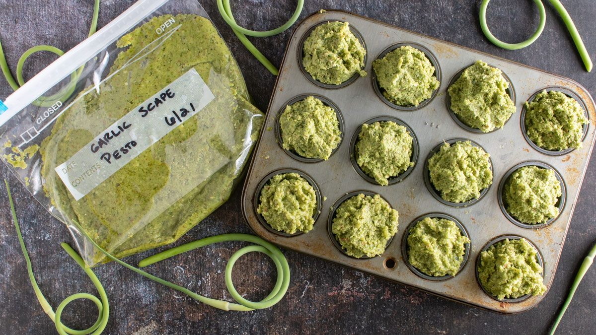 Pesto in plastic bag and in cupcake tin ready for freezing.