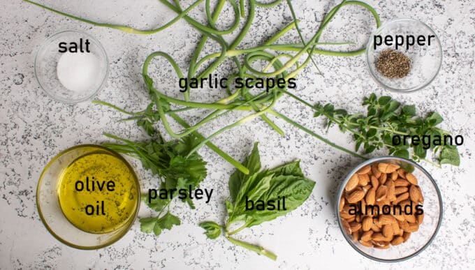 Ingredients for garlic scape pesto. See recipe below for details.