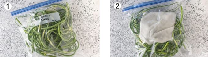 Garlic scapes in plastic storage bag. A damp piece of paper towel to help retain moisture.