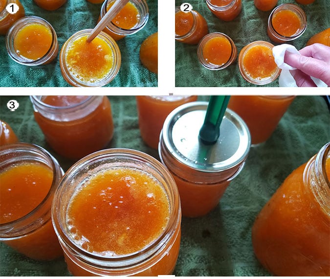 Step by step photographs of the process for canning apricot jam. See details in recipe below.