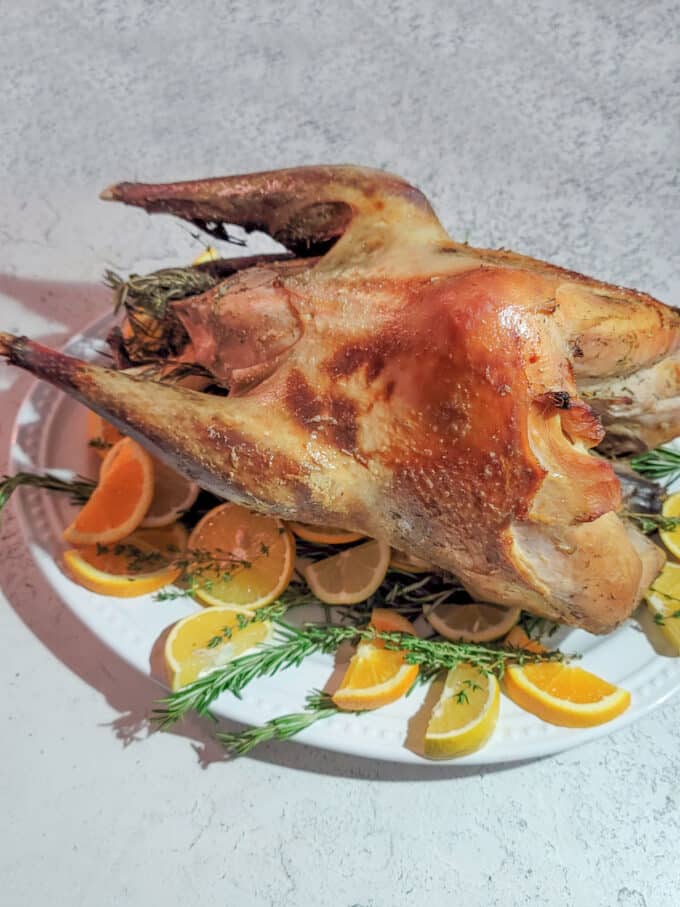 Overhead view of roasted turkey.