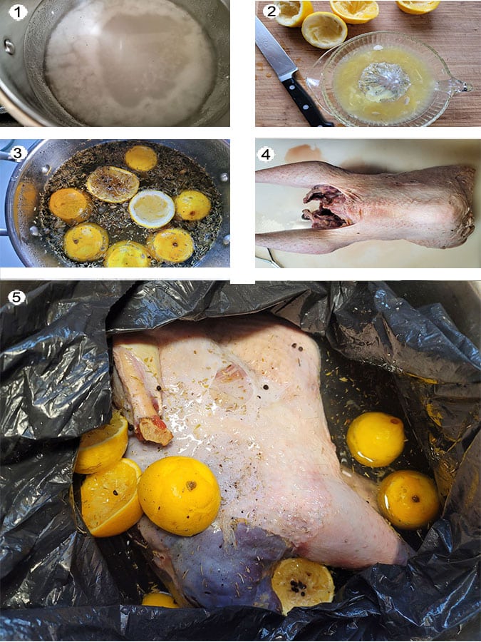 Step by step photographs of the process for brining wild turkey. See details in recipe below.