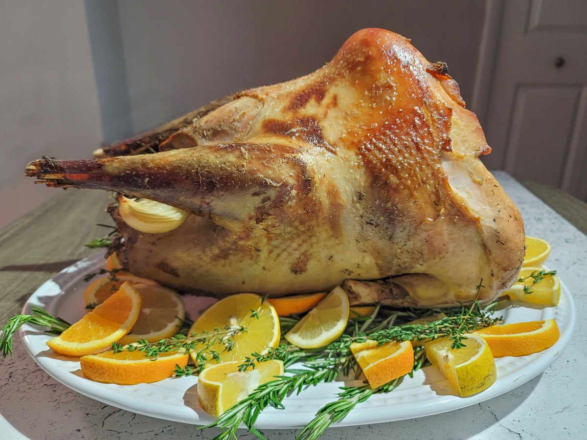 Wild turkey on white platter garnished with citrus and herbs.