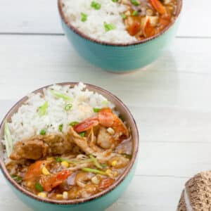 Alligator stew in blue bowl with rice.